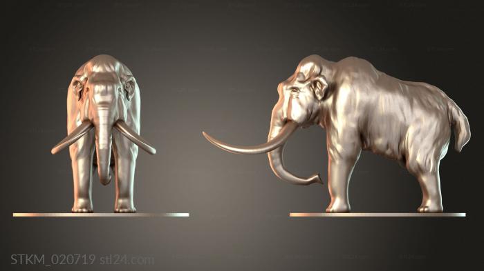 Mammoth