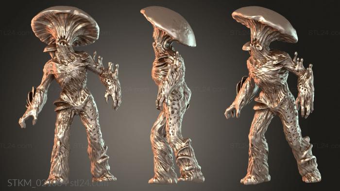 Myconid Myconid