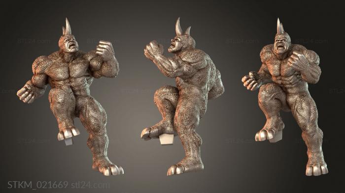 Rhinocerose R