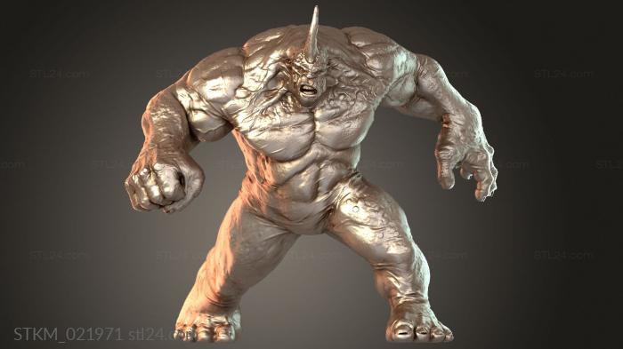 Since Rhino