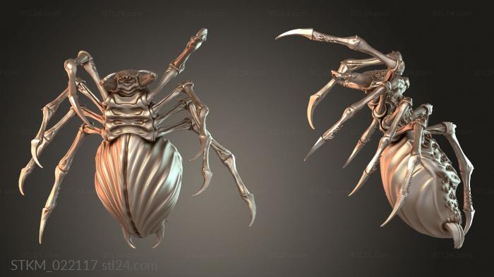 Spider Giant Alpha