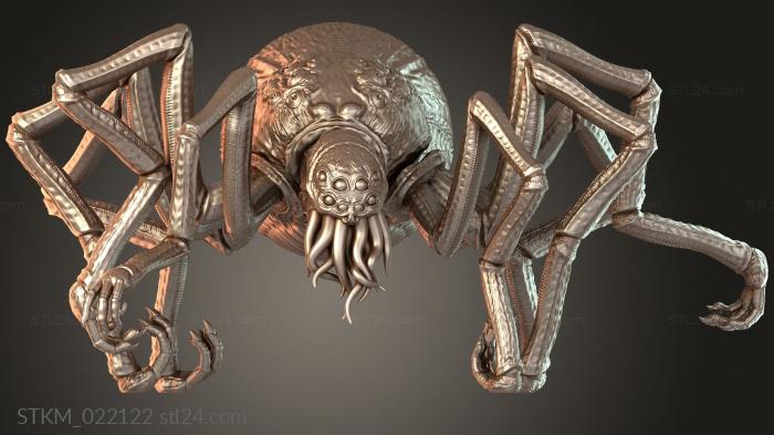 Spider Leng Spinder