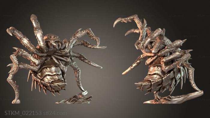 Spider Riders Saddlev