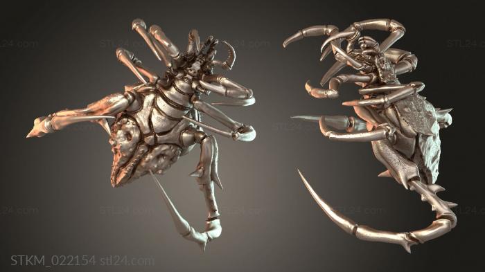 Spider Rogue Wild
