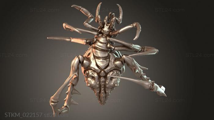 Spider Sapper Wild