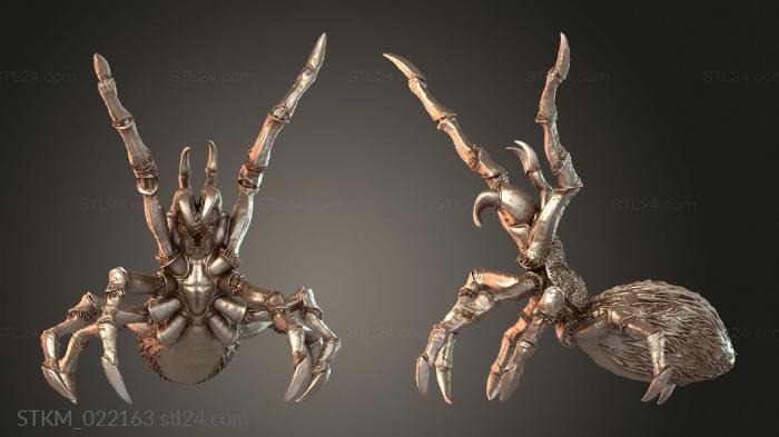 Spider Small Cunning