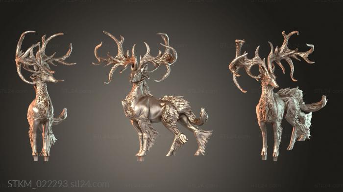 T Stag Dominant