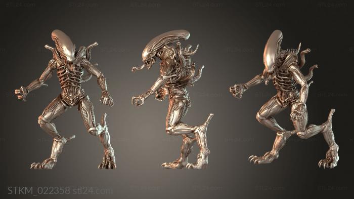Terrestrial