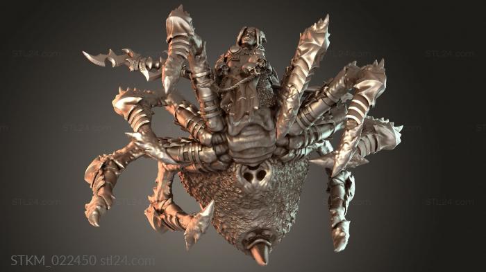 The Queens Arachnis Female