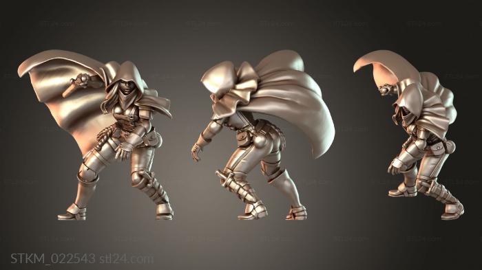 Titans Adventures Human Female Rogue