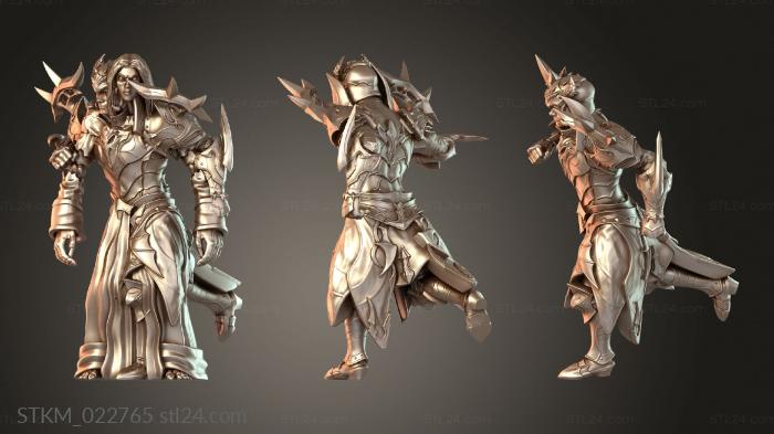 Figurines heroes, monsters and demons (Vengeance Dark Elfs Blitzer Tactical, STKM_022765) 3D models for cnc