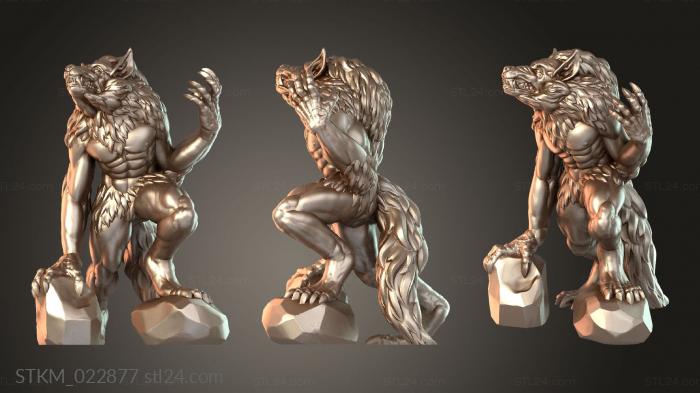 Werewolf Mystic