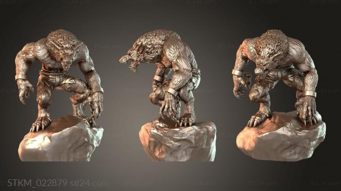 Werewolf On Stone
