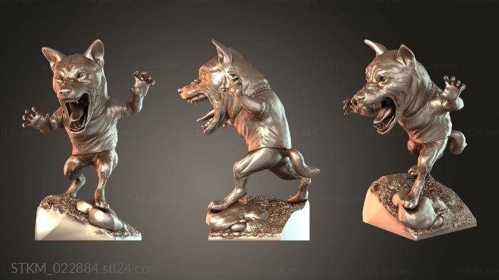 Werewolf Young