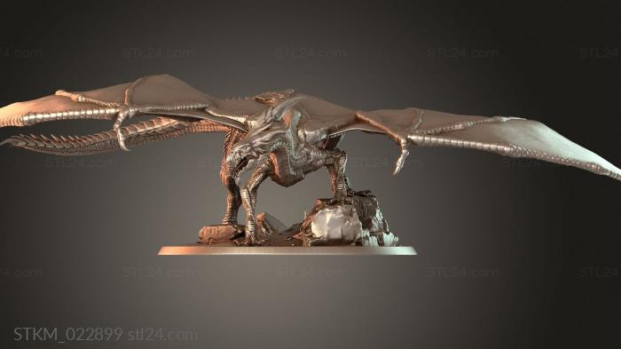 White Dragon Adult Young