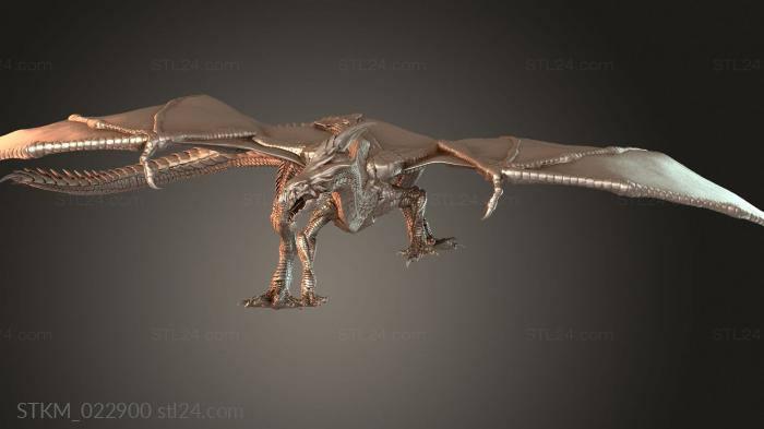 White Dragon Adult