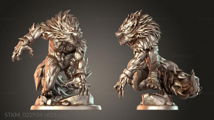 Figurines heroes, monsters and demons (Wildling, STKM_022934) 3D models for cnc