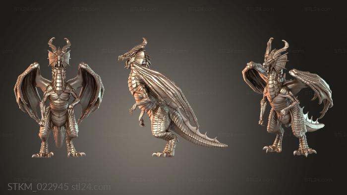 Wisdom Dragon
