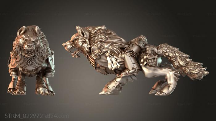 Wolf and Rider Heroic