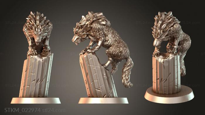 Wolf Companion Display
