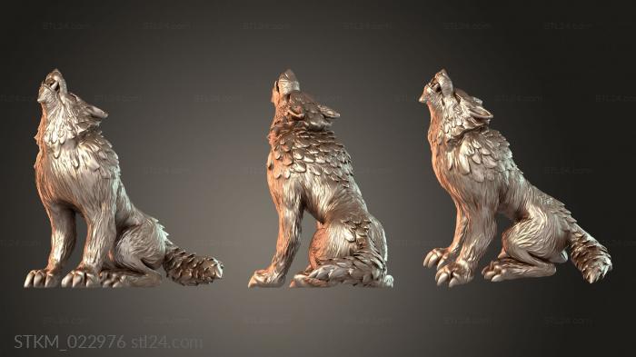 Wolf Howling