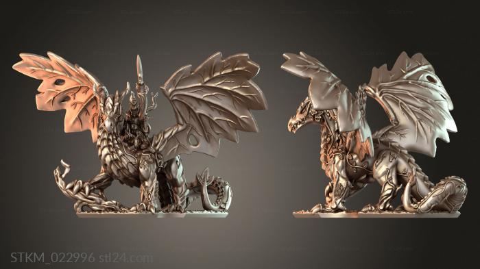 Wood Elf Dragon Lord
