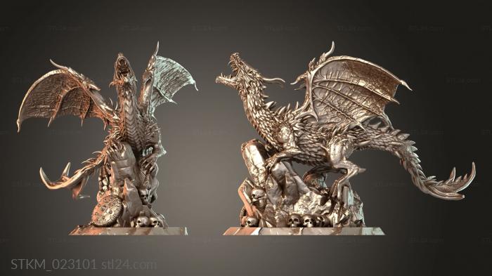 Young Dragon