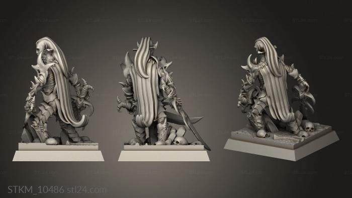 Figurines heroes, monsters and demons (Dark Elves Sq Hero, STKM_10486) 3D models for cnc