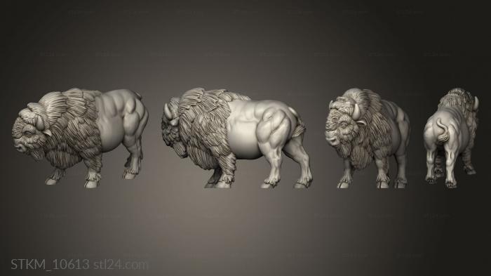 Figurines heroes, monsters and demons (american buffalos buffalo, STKM_10613) 3D models for cnc