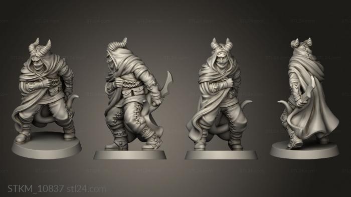 Figurines heroes, monsters and demons (Characters TIEFLING ASSASSIN, STKM_10837) 3D models for cnc