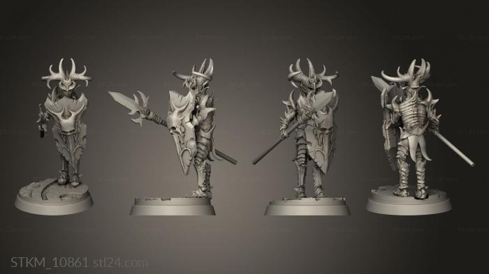 Figurines heroes, monsters and demons (Dark Elves Soldier Lance, STKM_10861) 3D models for cnc