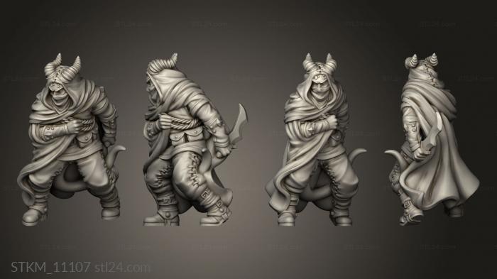 Figurines heroes, monsters and demons (Characters TIEFLING ASSASSIN, STKM_11107) 3D models for cnc