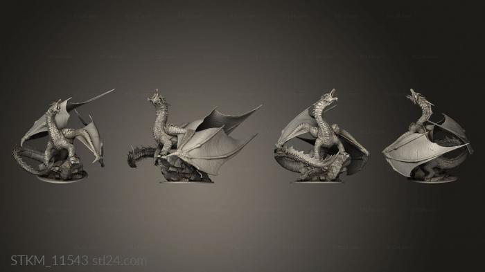 Figurines heroes, monsters and demons (adult brine dragon brine dragon wing, STKM_11543) 3D models for cnc