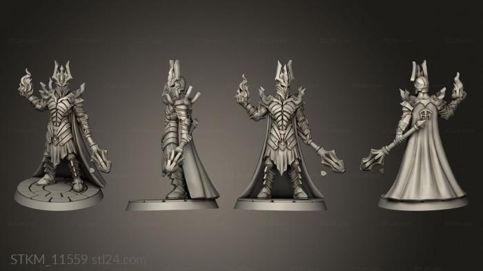 Figurines heroes, monsters and demons (Against the Shadows Starter lord, STKM_11559) 3D models for cnc
