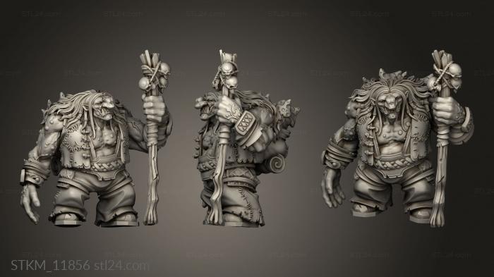 Figurines heroes, monsters and demons (FT Forest Troll, STKM_11856) 3D models for cnc