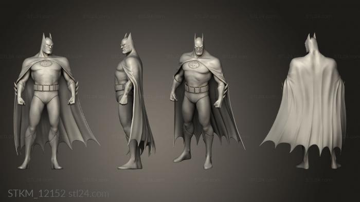 Batman Cartoon