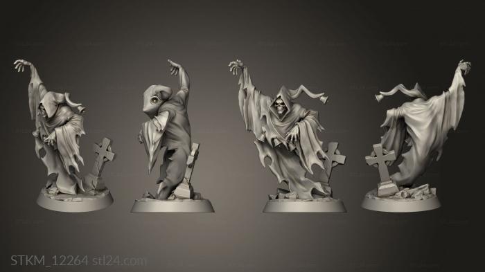 Figurines heroes, monsters and demons (BAM Wraiths Wraith Chime, STKM_12264) 3D models for cnc