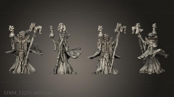 Figurines heroes, monsters and demons (Brayan Nafarrate Bestiary Lich, STKM_12275) 3D models for cnc