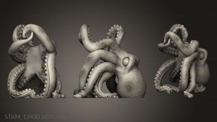 Figurines heroes, monsters and demons (Bordeaux The Octopus, STKM_12430) 3D models for cnc