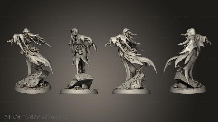 Figurines heroes, monsters and demons (Darkness the Lich Lord Bodil, STKM_12879) 3D models for cnc
