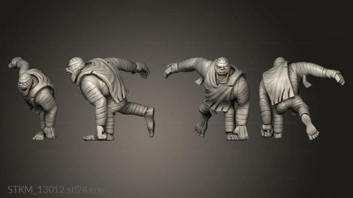 Figurines heroes, monsters and demons (Hellraisers Blood Bowl franco, STKM_13012) 3D models for cnc