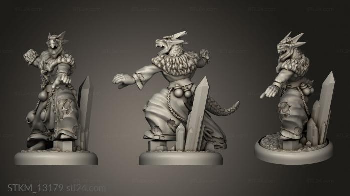 Figurines heroes, monsters and demons (Dragonborn Casters Ice Fire Male Shaman Mm, STKM_13179) 3D models for cnc