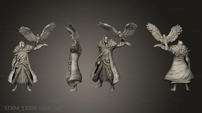 Figurines heroes, monsters and demons (Fey Woods Half Witch Hunter Falcon, STKM_13338) 3D models for cnc