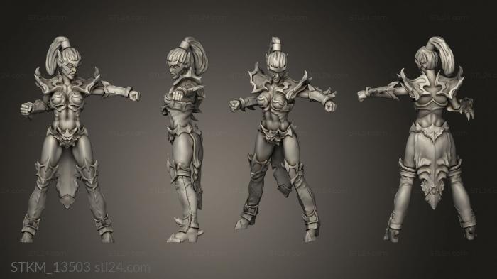 Figurines heroes, monsters and demons (Dark Elves Fist Elf Challenger, STKM_13503) 3D models for cnc
