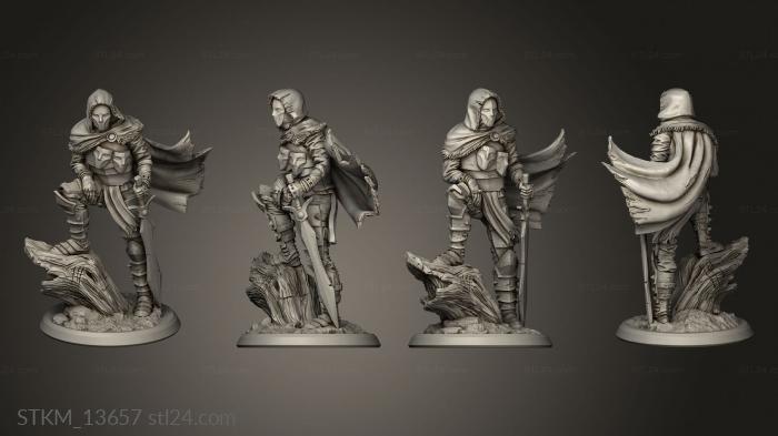 Figurines heroes, monsters and demons (Flash God s Assassin, STKM_13657) 3D models for cnc