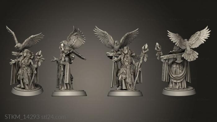 Figurines heroes, monsters and demons (Wodengar Clan Vissfinnr, STKM_14293) 3D models for cnc