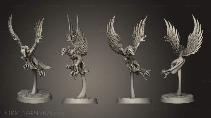Figurines heroes, monsters and demons (Feather Folk Featherfolk Ranged Fighters flying weapon, STKM_14424) 3D models for cnc