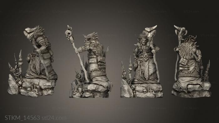 Figurines heroes, monsters and demons (Orc Horde shaman or SHAMAN, STKM_14563) 3D models for cnc