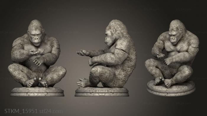 Figurines heroes, monsters and demons (Skorepa King Kong, STKM_15951) 3D models for cnc