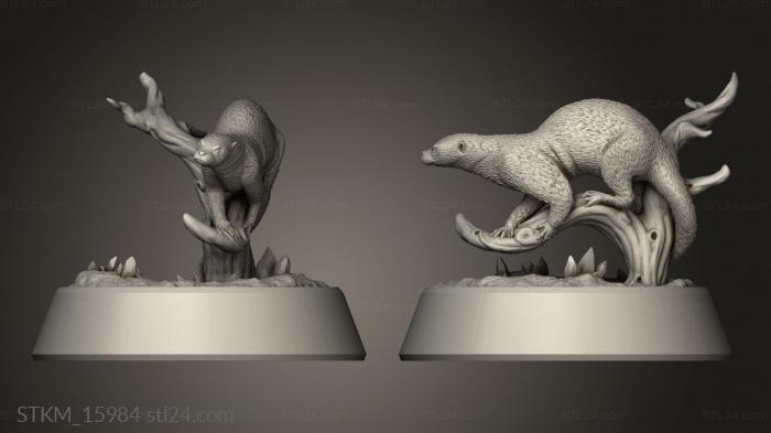 Figurines heroes, monsters and demons (Snowy Mountain Summit Sorcerer Familiar, STKM_15984) 3D models for cnc